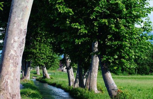 Cuneo Bed & Breakfast | CASA VOLA