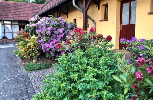 Vierherrenborn House | "Casa WaBik" - vacation home, bathroom, WC, non-smoking
