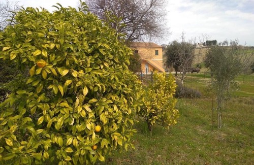 Montelupone House | Casale Colonico, ex Maneggio