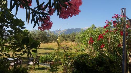 Guardiagrele Apartment | Casale Della Maiella