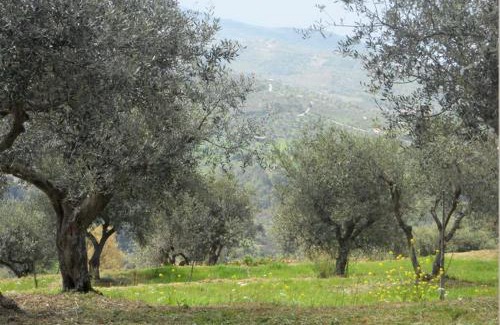 Laureana Cilento House | Casale Il Gheppio