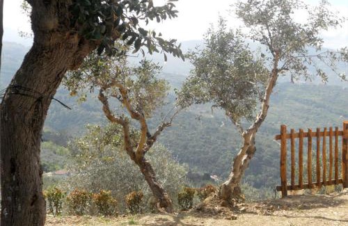 Laureana Cilento House | Casale Il Gheppio