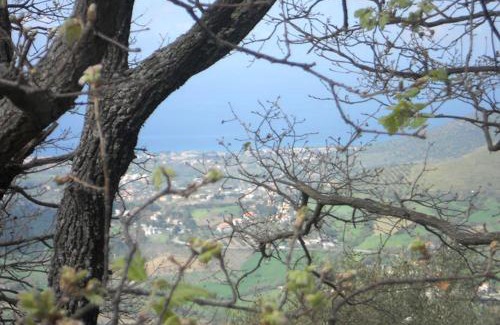 Laureana Cilento House | Casale Il Gheppio