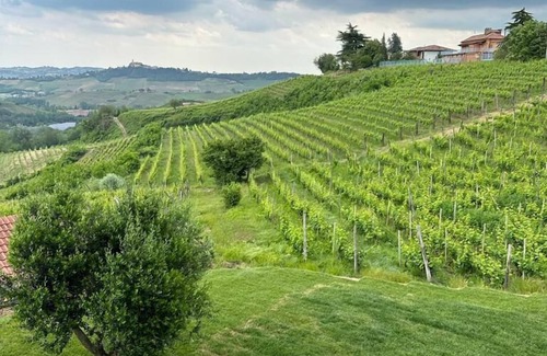 Canelli House | Cascina Canelli - Apt. Alba, Cascina Canelli - Apt. Alba