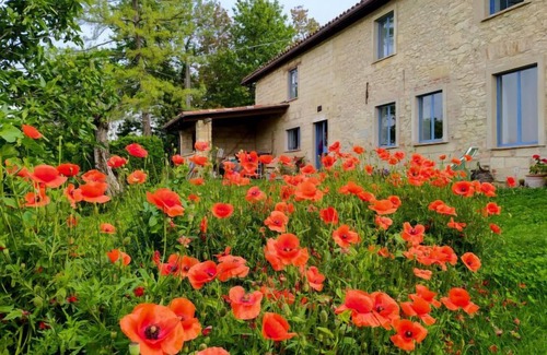 Grazzano Badoglio House | Cascina ConVista by Interhome