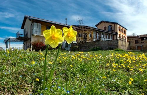 Dogliani Apartment | Cascina Nomade - Wine & Scenic Retreat