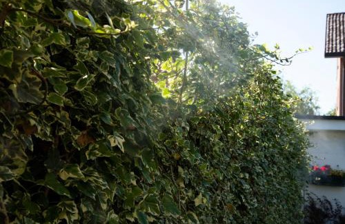 Pregnana Milanese Bed & Breakfast | Cascina36 B&B