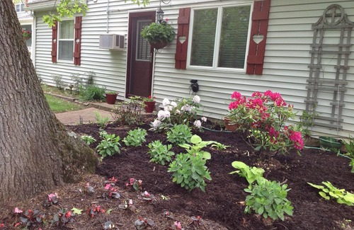 Pigeon Cottage | Caseville, Mi (Sand Point Area Cottage Rental) Cute, Cozy Cottage.