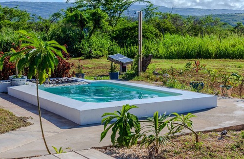 Treasure Beach Cabin | Cashaw Cabin - Private Retreat With a Pool