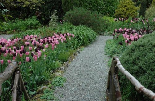Cashel Hotel | Cashel House Hotel