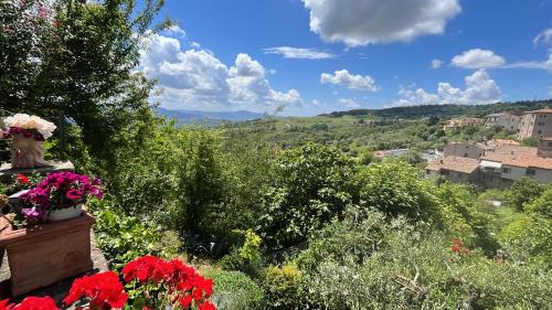 Montecatini Val di Cecina Apartment | Casina Orione