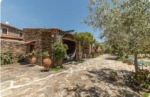 Frechas House | Casinha da horta