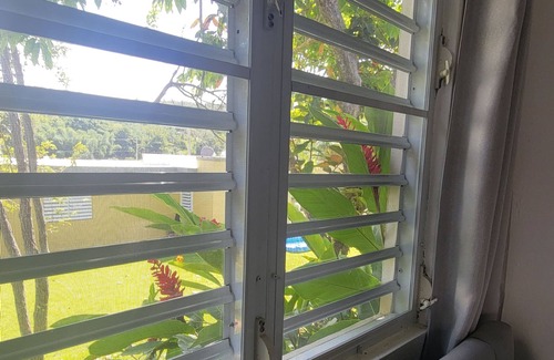 San German Apartment | Casita Almendro: A Cozy Studio with Heated Pool, BBQ and Close to La Parguera!