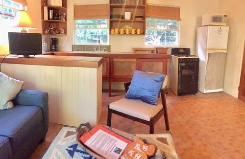 Caye Caulker Villa | Casita Carinosa - Amanda's Place - 3 bedroom house