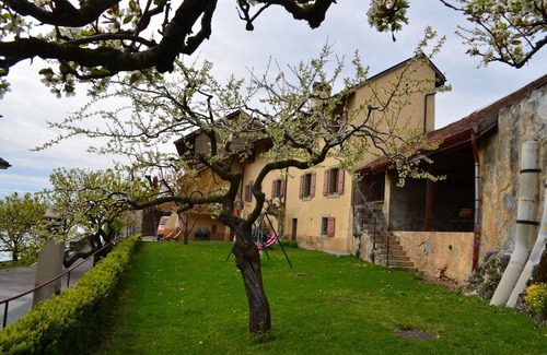 Chardonne Apartment | Castle In The Vineyards - flat for 2