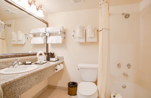 Anaheim Resort Hotel | Castle Inn and Suites