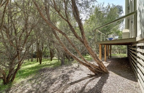 Metung House | Casuarina House in Metung