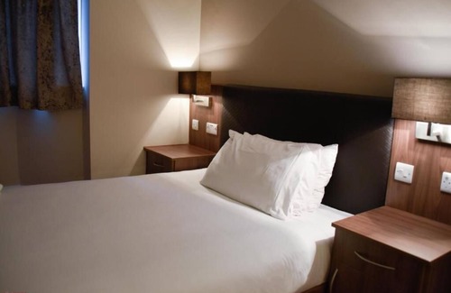 Cricket Green Hotel | Casuarina Tree