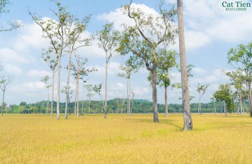Nam Cat Tien Cabin | Cat Tien Eco Lodge