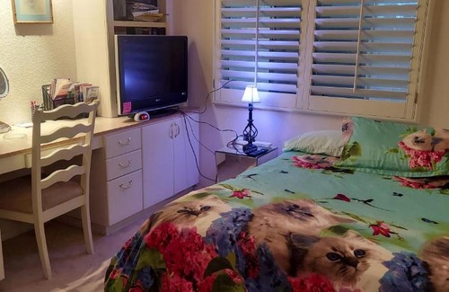Paradise House | CATmosphere 2