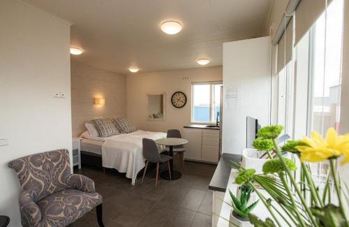 Thorshofn Bed & Breakfast | Cave apartment