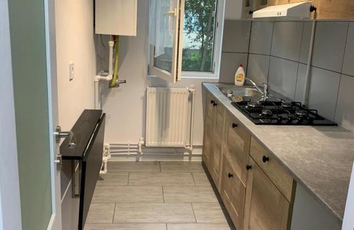 Barlad Apartment | Cazare barlad