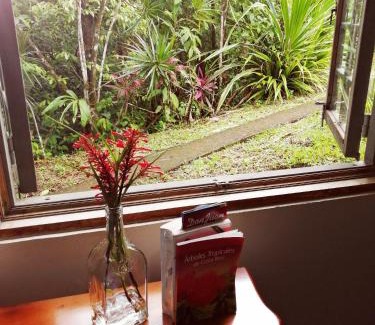 Vieja Cabin | Cecropia Ecolodge