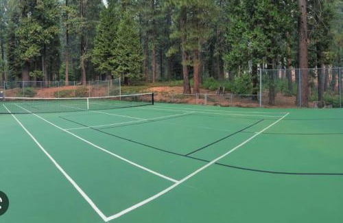 Dorrington House | Cedar Oasis - Pet Friendly Cabin w Fireplace, Games and Wifi - 5 min to Big Trees