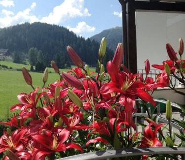 Selva di Val Gardena Apartment | Cedepuent de Sot