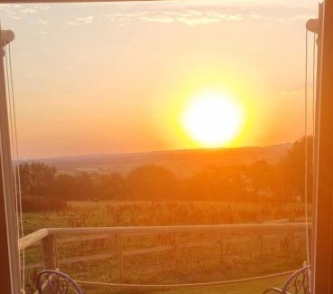 Aberaeron Other | Celaeron Glamping