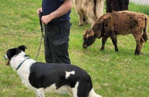 Freedom RV Rental | Celtic Glen Farm Stay - Lower Vistan