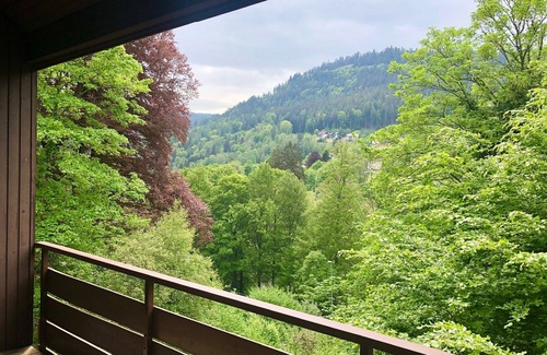 Bad Wildbad Apartment | Central 2-room "mountain apartment"