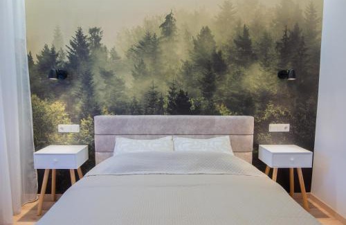 Druskininkai Apartment | Central and Relaxing apartment