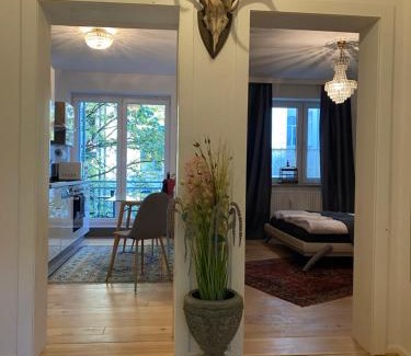 Oststadt Apartment | Central City Privatapartment Relax-Inn, Netflix & Sky TV!