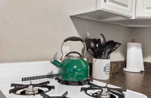 Canyon Apartment | Central Cozy 1-bedroom 15 mins to Palo Duro Canyon & across from West Texas A&M