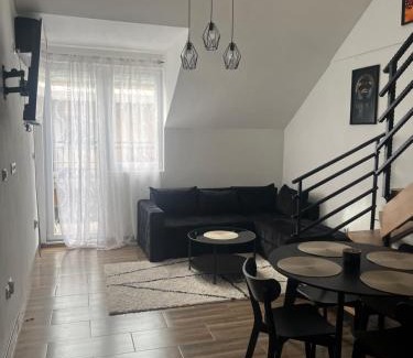 Zajecar Apartment | Central Duplex Apartment
