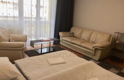 Zalaegerszeg Apartment | Central
