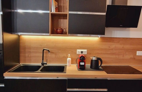 Roman Quarter Apartment | Central Loft Carina ideal per visitare il Centro di Torino