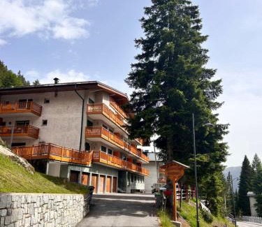 Palu Apartment | Central recently renovated apartment - Casa Tre Pini