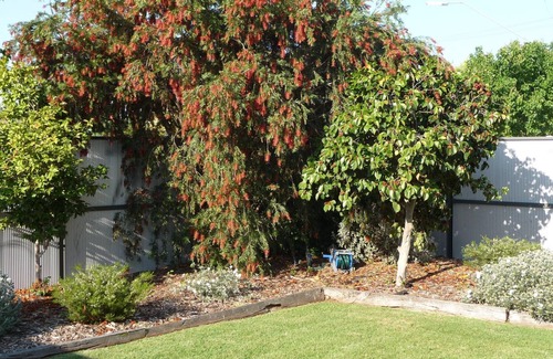 Shepparton Apartment | Central Shepparton apartment