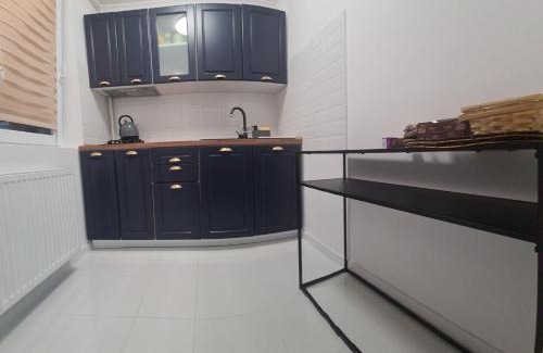 Tirgu Neamt Apartment | Central Stay