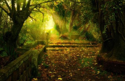 Hornachuelos House | Centro de Naturaleza Cañada Verde "El Bosque Encantado de Córdoba"