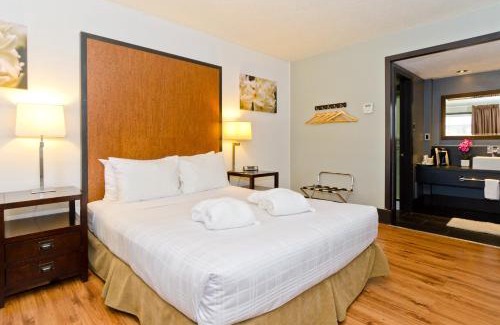 Montgomery Hotel | Centro Motel