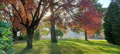 Les Marches Bed & Breakfast | Château La Violette