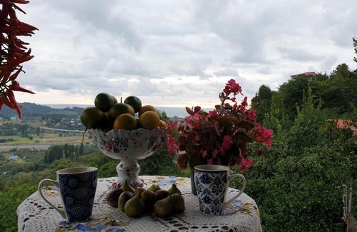 Gorgadzeebi House | Chakvi View Guest House