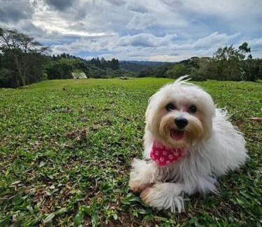 Campina Grande Do Sul Ski Chalet | Chalé Romantico a 20km de Curitiba com banheira
