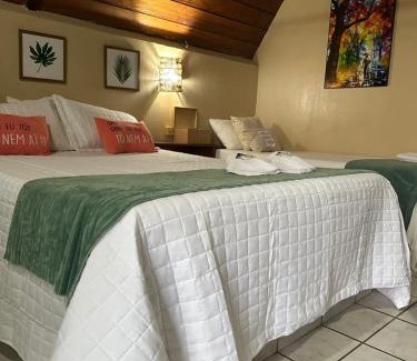 Presidente Figueiredo Ski Chalet | Chales Acqua park