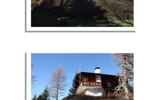 Ormont-Dessus Ski Chalet | Chalet 1300m altitude family vacation, pets welcome