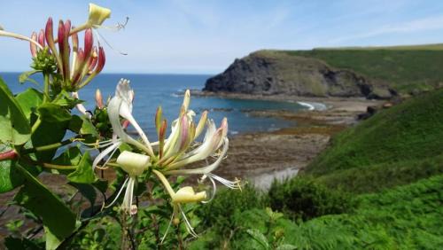 Widemouth Bay Ski Chalet | Chalet 18 Widemouth Bay Holiday Village