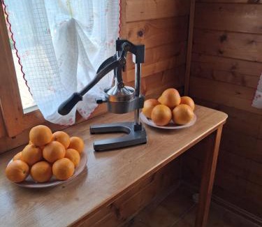 Pessinetto Ski Chalet | Chalet Aledia